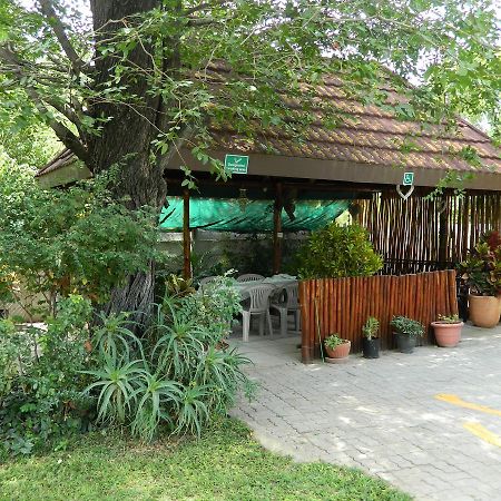 מאון Thamalakane Guest House מראה חיצוני תמונה