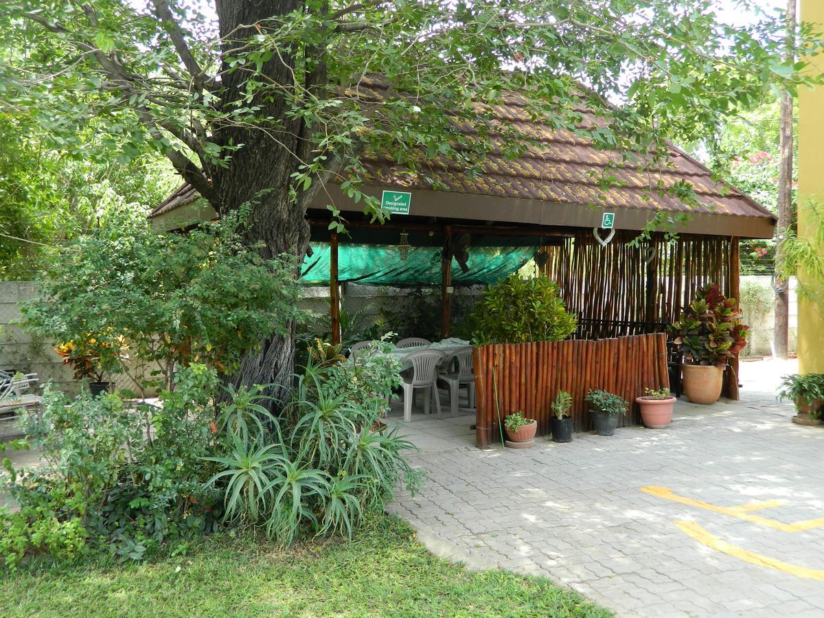 מאון Thamalakane Guest House מראה חיצוני תמונה